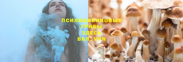 дурь Алзамай
