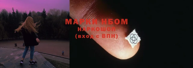 дурь Алзамай