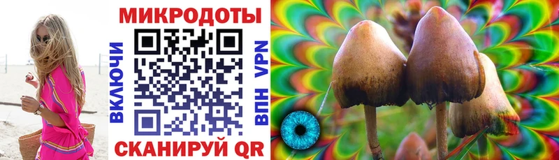 Псилоцибиновые грибы Psilocybe закладки Батайск